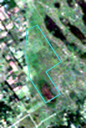 Imagen satelital histórica de este barrio