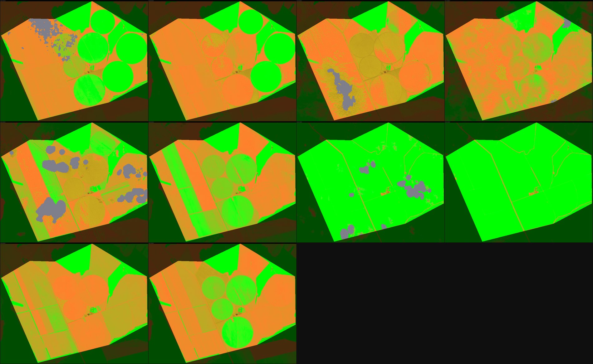 Filmstrip NDVI mensual
